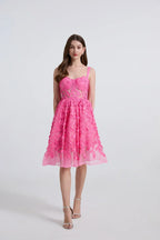 שמלת-אביגיל